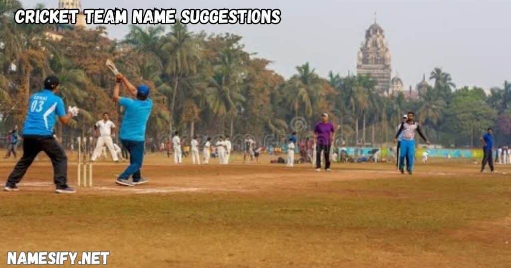 Cricket Team Name Suggestions